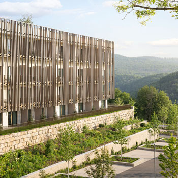 Wald.Weit Rheingau Hotel & Retreat
